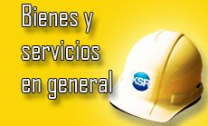 Bienes y servicios en general